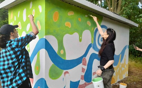 Murale na przystankach autobusowych w miejscowości Słone